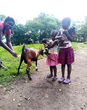 01-devlink-home-slide-tall